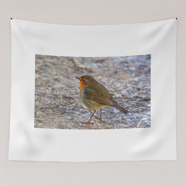 Item preview, Robin wild bird designed and sold by grumpykeith.