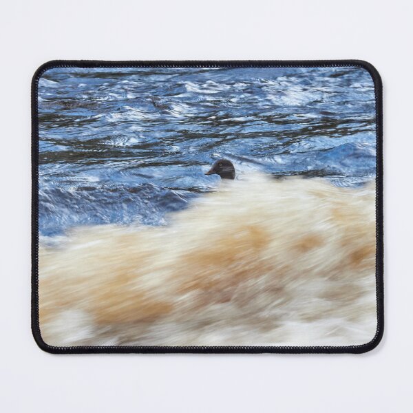 Item preview, Head up. Common goldeneye designed and sold by Jouko Lehto Photography.