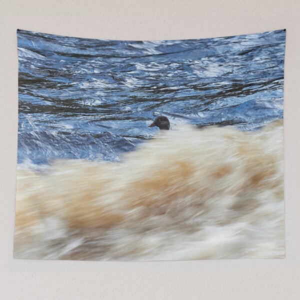 Item preview, Head up. Common goldeneye designed and sold by Jouko Lehto Photography.