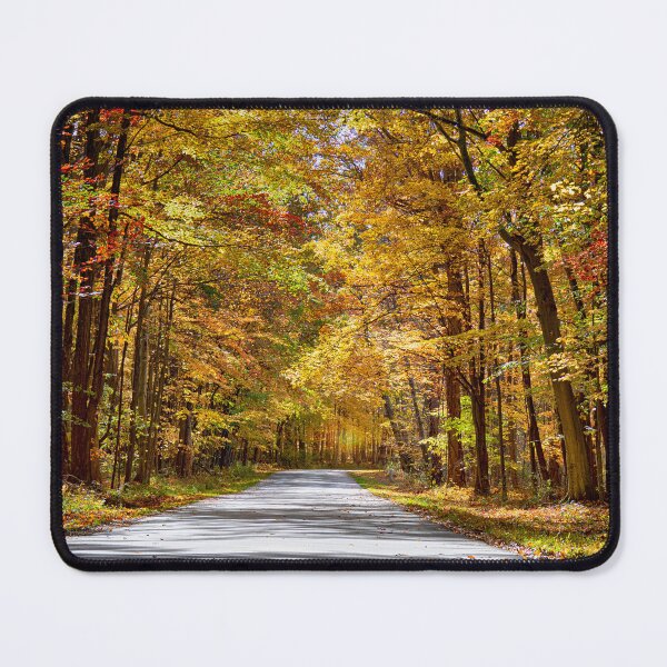 Item preview, Country Road in Autumn - PA designed and sold by Kathy Weaver.