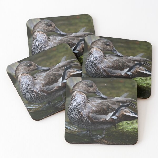 Item preview, Beautiful brown duck preening near water, standing on log. Duck with curved feathers and unique feather patterns designed and sold by Jacobs-Media.