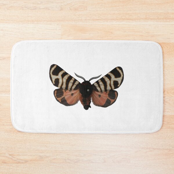 Item preview, Arctia hebe (festiva) festive tiger moth  designed and sold by Entomologist.