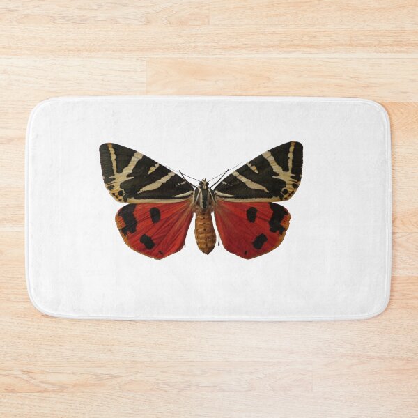 Item preview, Jersey tiger moth: Euplagia quadripunctaria designed and sold by Entomologist.