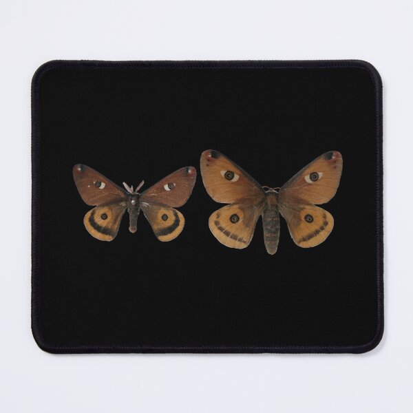 Item preview, Rare silkmoths: Calosaturnia walterorum / Walter's silkmoth designed and sold by Entomologist.