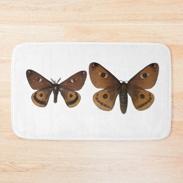 Item preview, Rare silkmoths: Calosaturnia walterorum / Walter's silkmoth designed and sold by Entomologist.