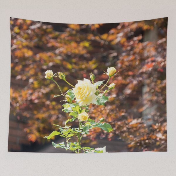 Tapestry