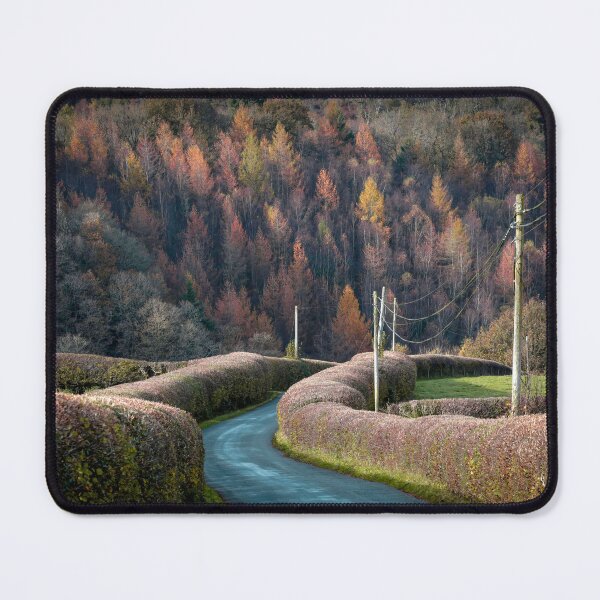 Item preview, A country road in South Wales designed and sold by Leighton Collins.