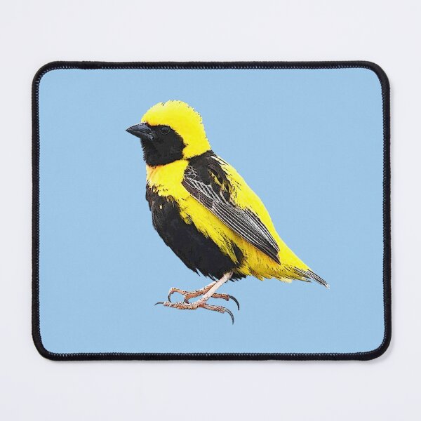 Item preview, Yellow-crowned Bishop Color Design designed and sold by designsasstultd.