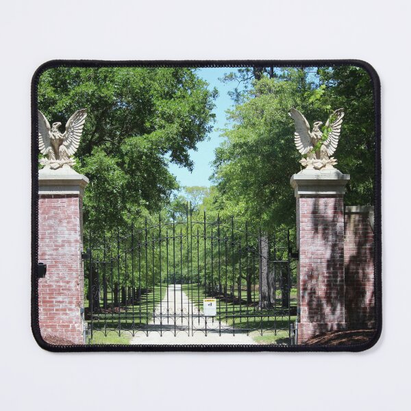 Item preview, Eagles Guard Entrance designed and sold by Cynthia48.