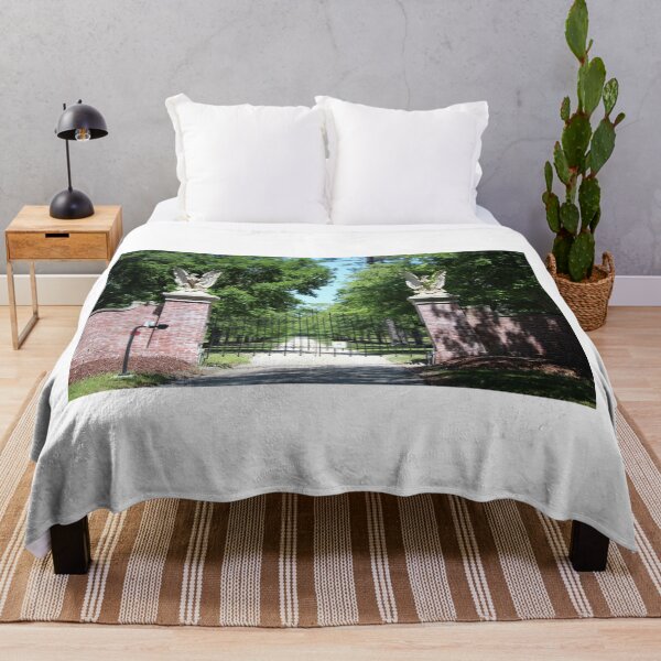 Item preview, Eagles Guard Entrance designed and sold by Cynthia48.