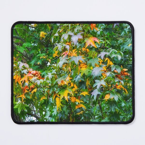 Item preview, Leaves designed and sold by Larrysphotos.