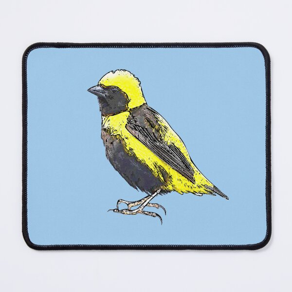 Item preview, Yellow-crowned Bishop Black Alternate Design  designed and sold by designsasstultd.