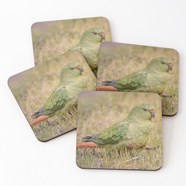 Item preview, Emerald Parakeet Patagonia Chile designed and sold by PhotoArt by Joan Carroll.