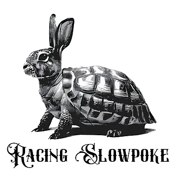 Artwork thumbnail, Racing Slowpoke: Turtle-Rabbit Fusion by GorinART