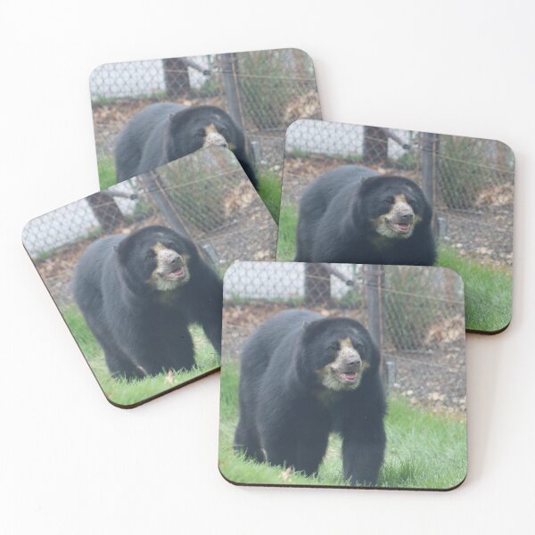 Item preview, Andean Bear walking in grass on all fours in zoo safety enclosure in summer designed and sold by Jacobs-Media.