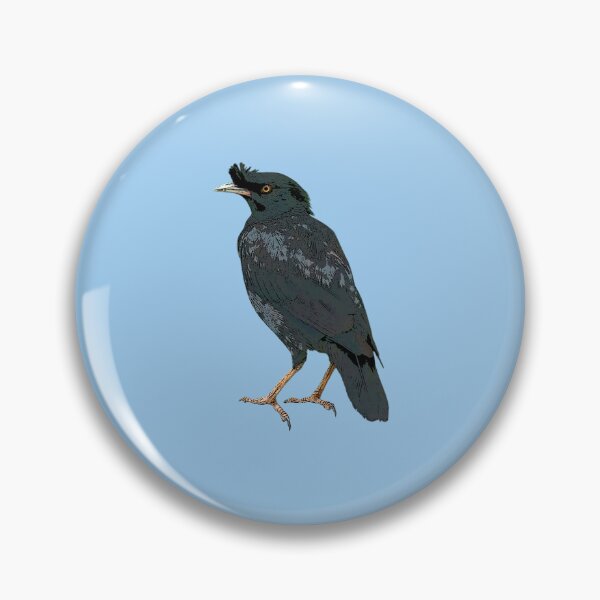 Item preview, Crested Myna Color Design  designed and sold by designsasstultd.