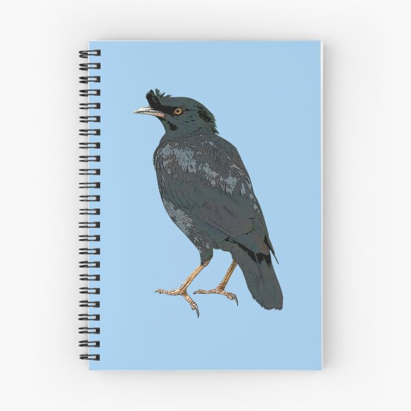 Item preview, Crested Myna Color Design  designed and sold by designsasstultd.