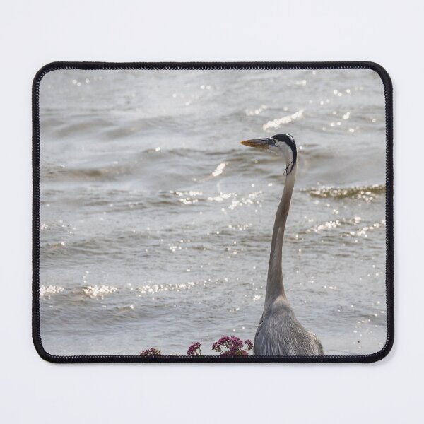 Item preview, Great Blue Heron at Lake Apopka, Florida designed and sold by jrtwynam.