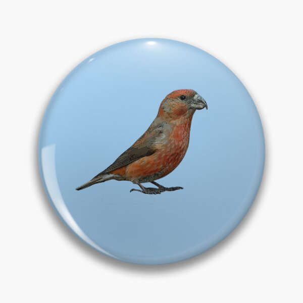 Item preview, Parrot Crossbill Color Design  designed and sold by designsasstultd.