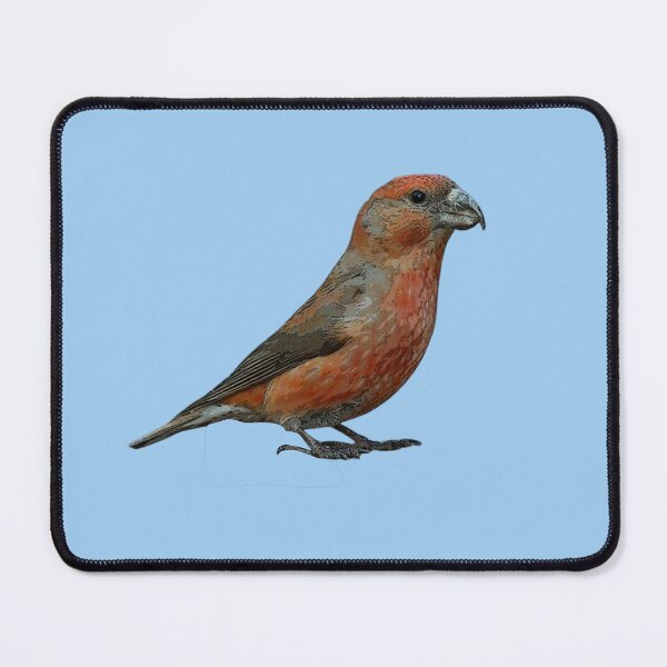 Item preview, Parrot Crossbill Color Design  designed and sold by designsasstultd.