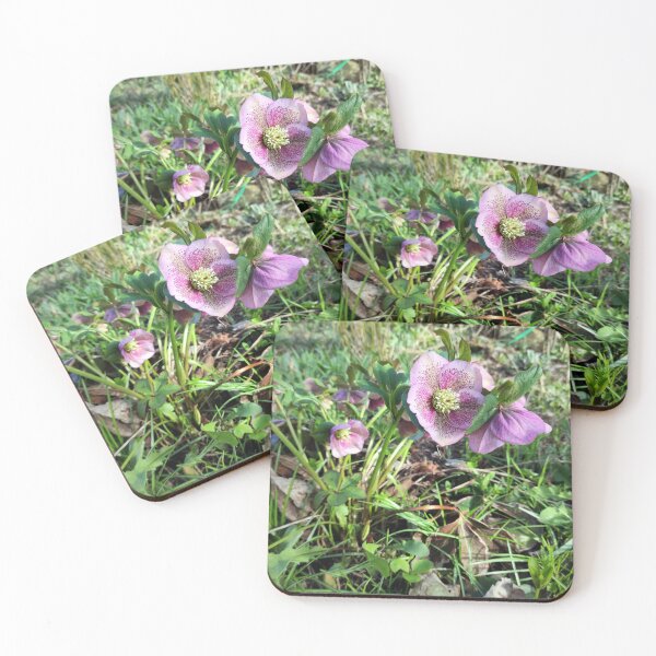 Item preview, Red Lenten rose designed and sold by Gourmetkater.