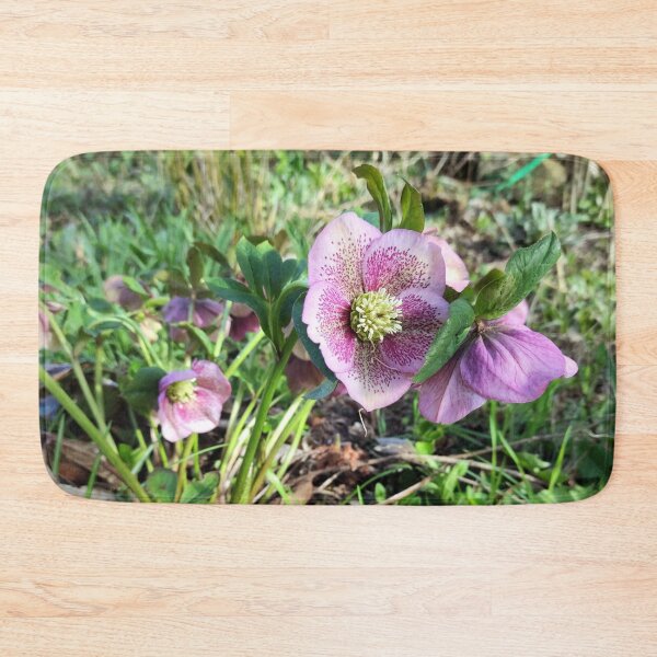 Item preview, Red Lenten rose designed and sold by Gourmetkater.