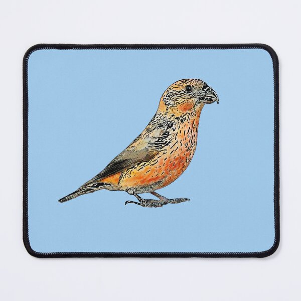 Item preview, Parrot Crossbill Black Alternate Design  designed and sold by designsasstultd.