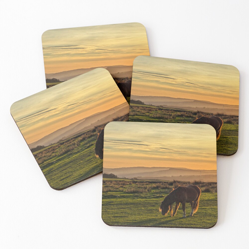 Item preview, Coasters (Set of 4) designed and sold by ellenmpics.