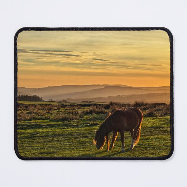 Item preview, Golden Hour  designed and sold by ellenmpics.