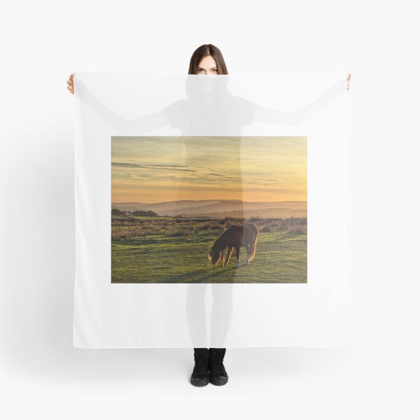 Item preview, Golden Hour designed and sold by ellenmpics.
