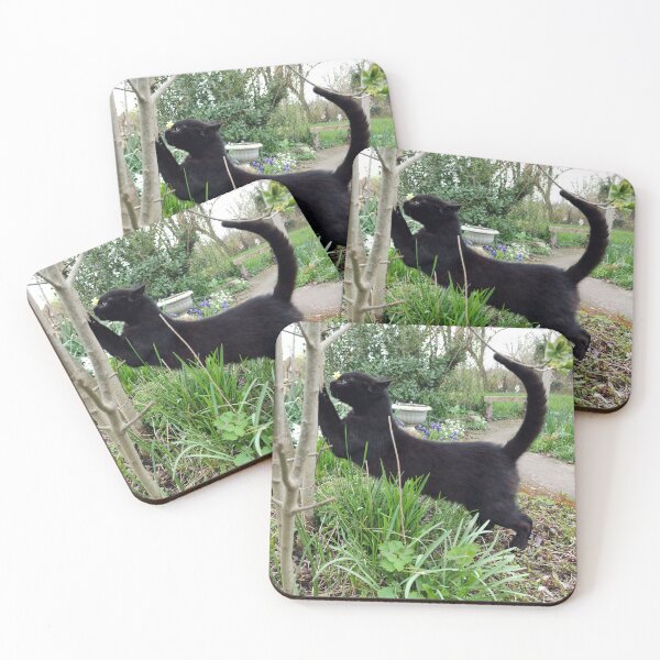 Artikelvorschau, Schwarzer Kater im Garten entworfen und verkauft von Gourmetkater.