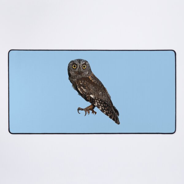 Item preview, Eurasian Scops-Owl Color Design designed and sold by designsasstultd.