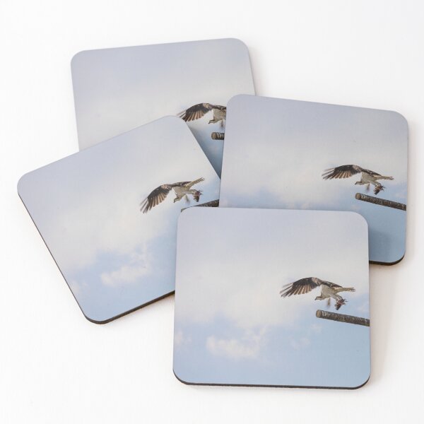 Item preview, Osprey at Lake Apopka, Florida designed and sold by jrtwynam.