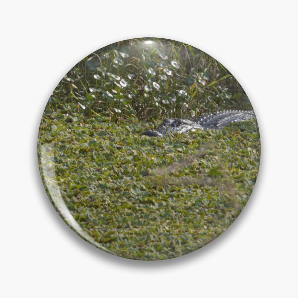 Item preview, Alligator at Lake Apopka, Florida 2 designed and sold by jrtwynam.