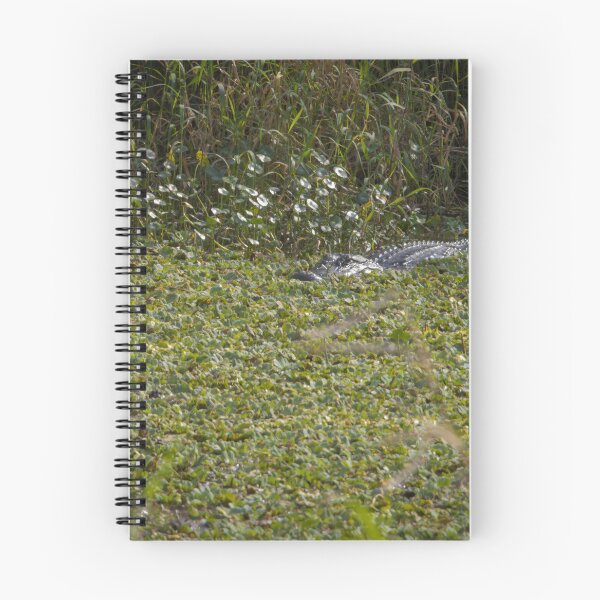 Item preview, Alligator at Lake Apopka, Florida 2 designed and sold by jrtwynam.