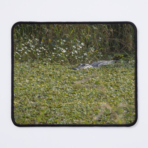 Item preview, Alligator at Lake Apopka, Florida 2 designed and sold by jrtwynam.