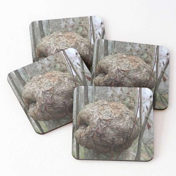 Item preview, burl, a large, bizarre, round growth on the trunk  designed and sold by mrivserg.