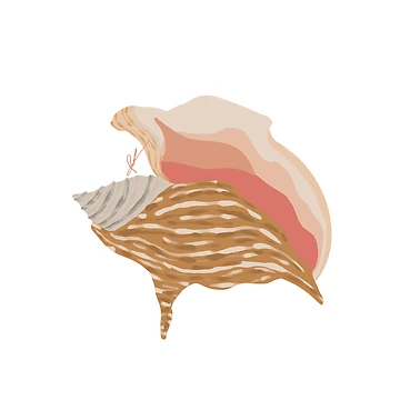 Artwork thumbnail, Sea Shell by ReyBeeArt