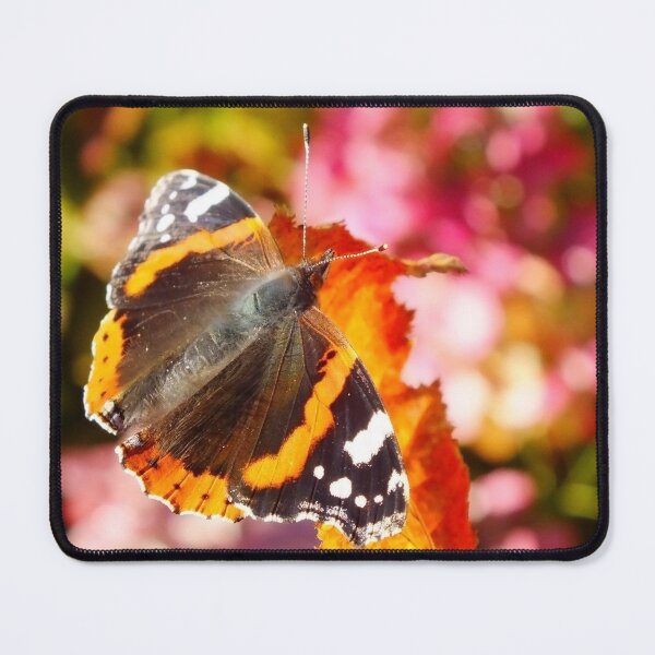 Item preview, Red Admiral Butterfly designed and sold by pinkal.