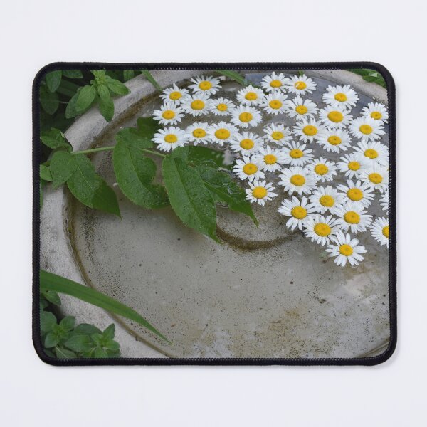 Item preview, Daisies in the garden designed and sold by Claude Laprise.