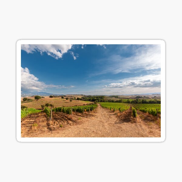 Item preview, View of the vineyard designed and sold by SergeiLorgus.