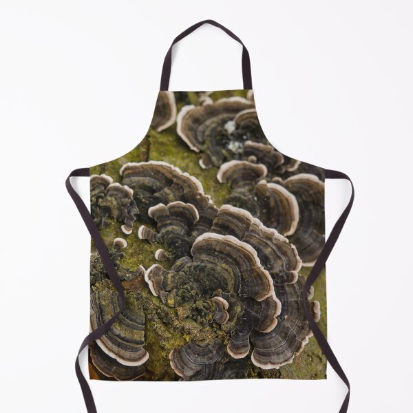 Item preview, Turkey tail mushrooms designed and sold by xophotography.