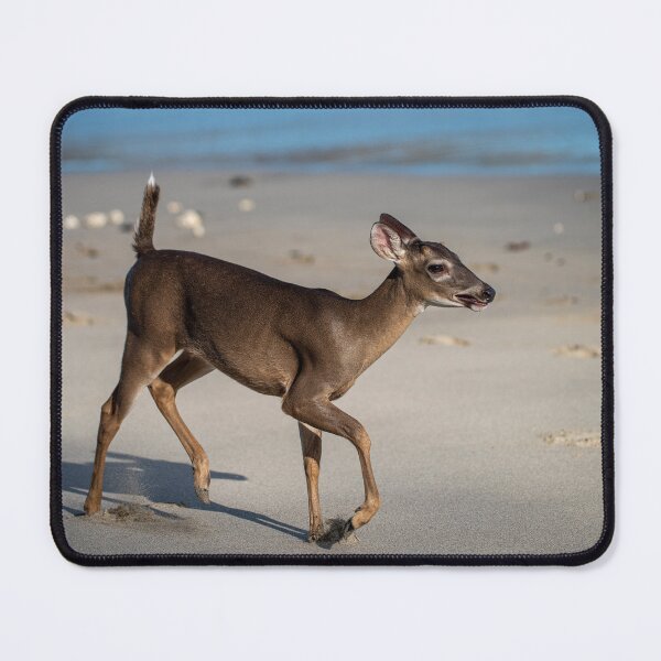 Item preview, Bambi on the beach designed and sold by PTY4u.