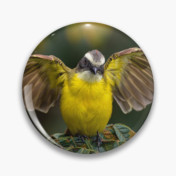 Item preview, Flycatcher with open wings designed and sold by PTY4u.