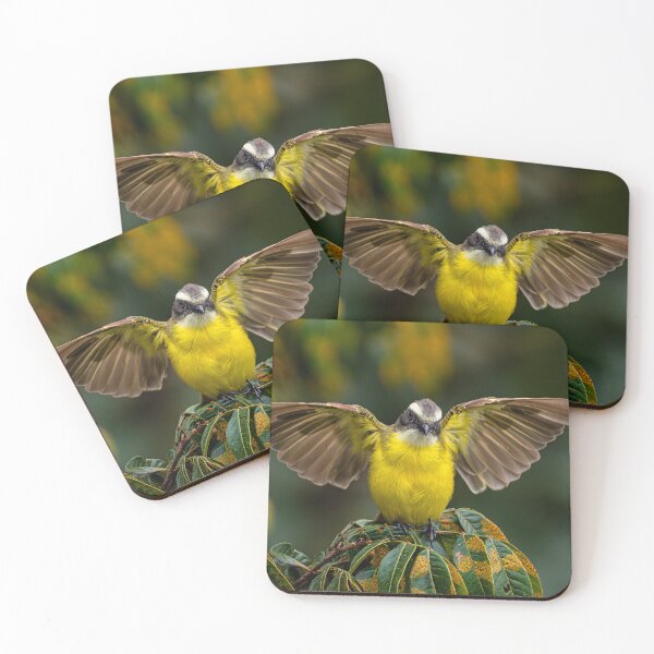 Item preview, Flycatcher with open wings designed and sold by PTY4u.