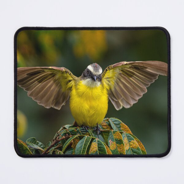 Item preview, Flycatcher with open wings designed and sold by PTY4u.
