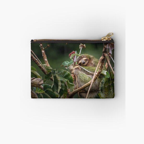 Item preview, 3 toed brown throated sloth on a cecropia tree designed and sold by PTY4u.