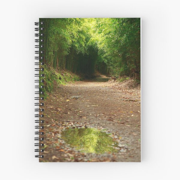 Item preview, Puddle of water designed and sold by Gaspar Avila.