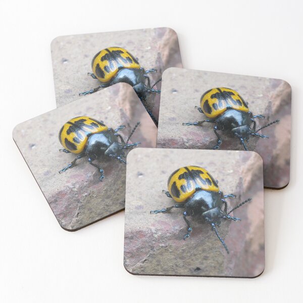 Item preview, Beetle Bug designed and sold by littlemarin.