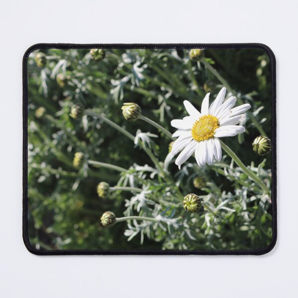 Item preview, Large Daisy designed and sold by pinkal.